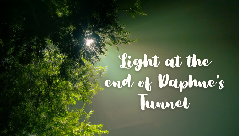 LIGHT AT THE END OF DAPHNE'S TUNNEL